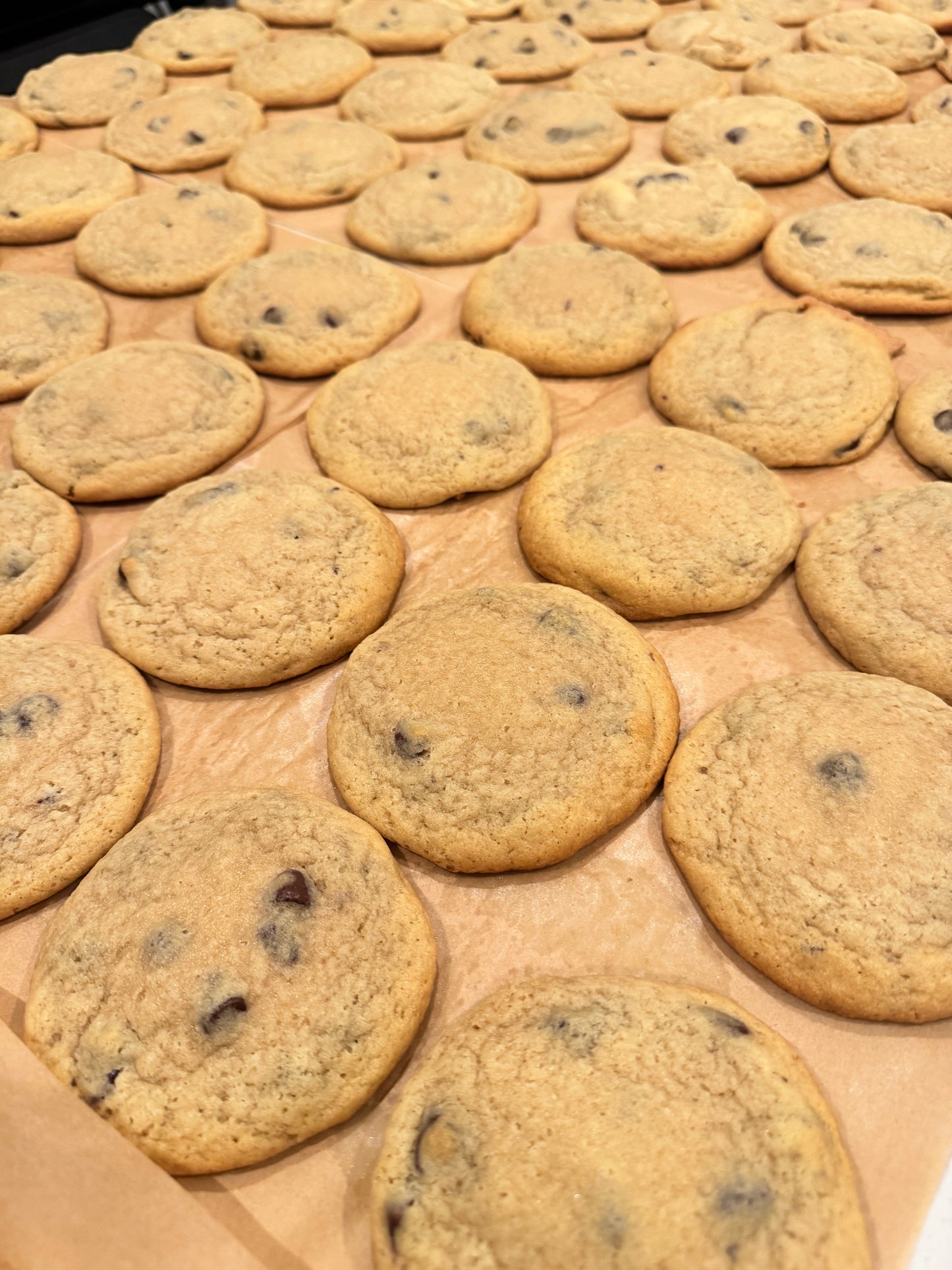 Chocolate Chip Cookie